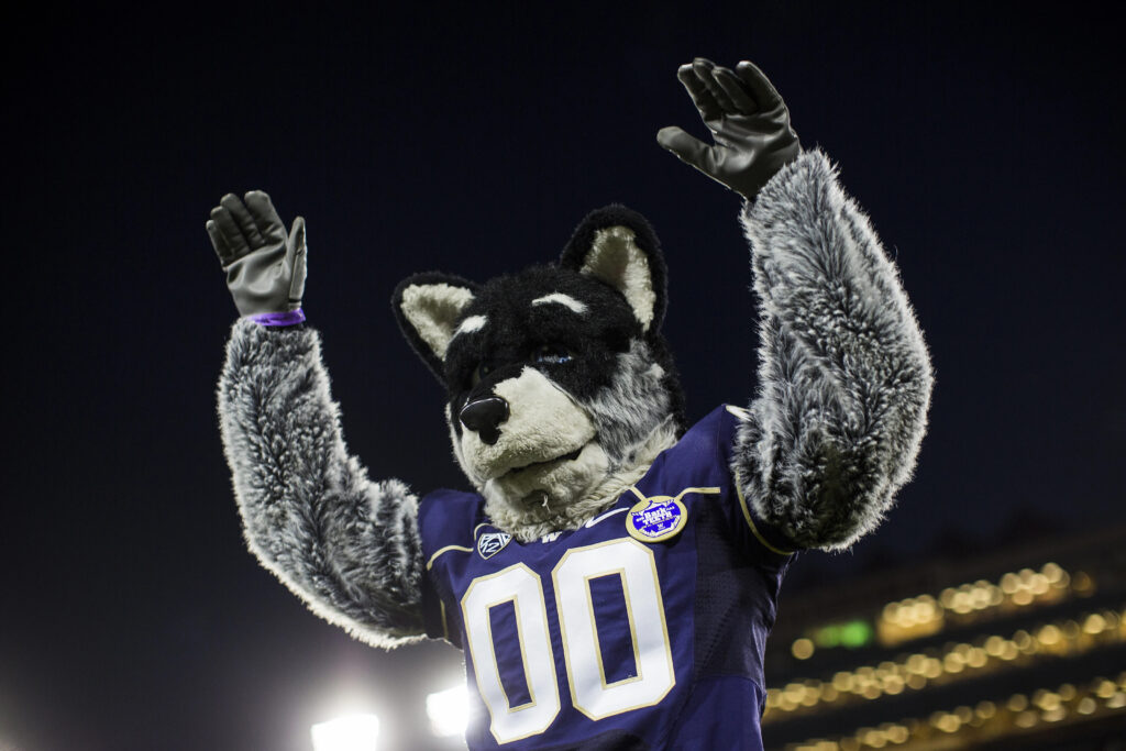 Washington football husky