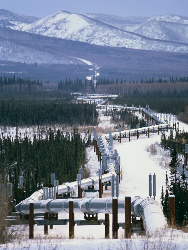 Alyeska Pipeline Viewing Point