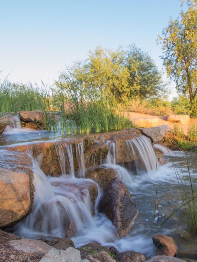 Veterans Oasis Park